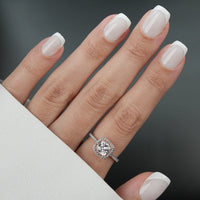 Soft Milky